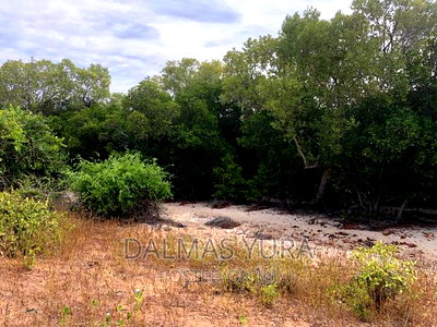 An Acre Land At Mida Creek In Watamu - Image 5