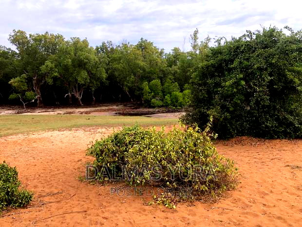 An Acre Land At Mida Creek In Watamu