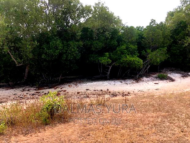An Acre Land At Mida Creek In Watamu