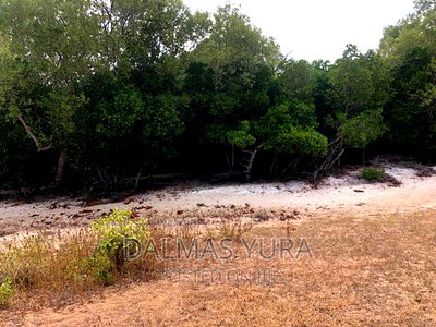 An Acre Land At Mida Creek In Watamu - Image 1