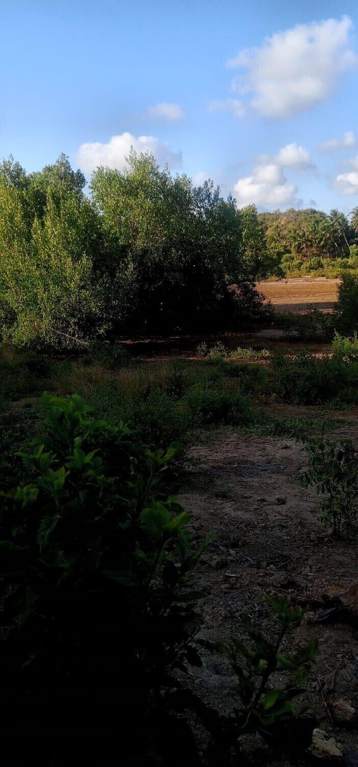 2.5-Acre Creek Plot with Ready Title – Kilifi Mavueni