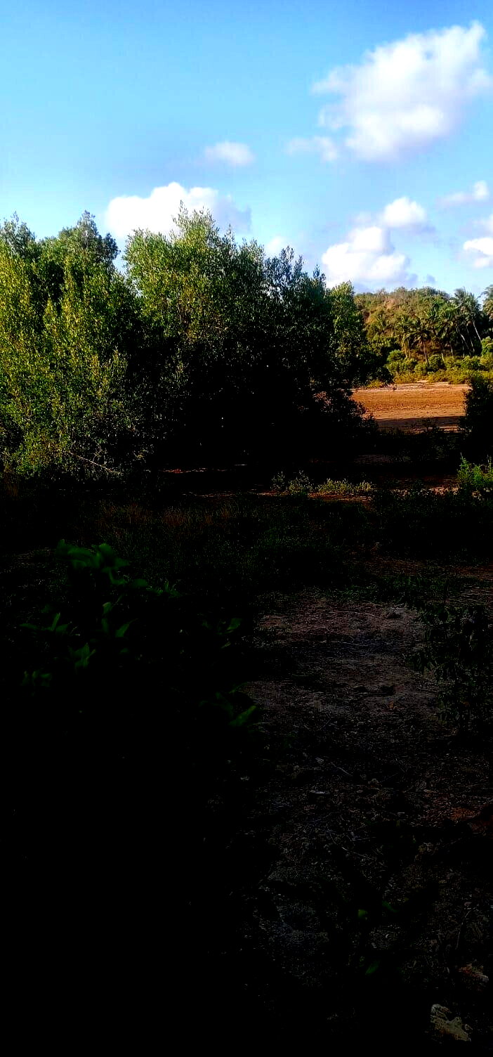 2.5-Acre Creek Plot with Ready Title – Kilifi Mavueni