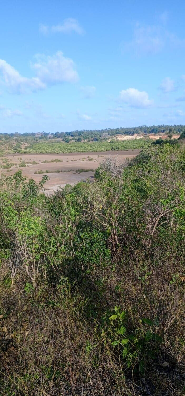 2.5-Acre Creek Plot with Ready Title – Kilifi Mavueni