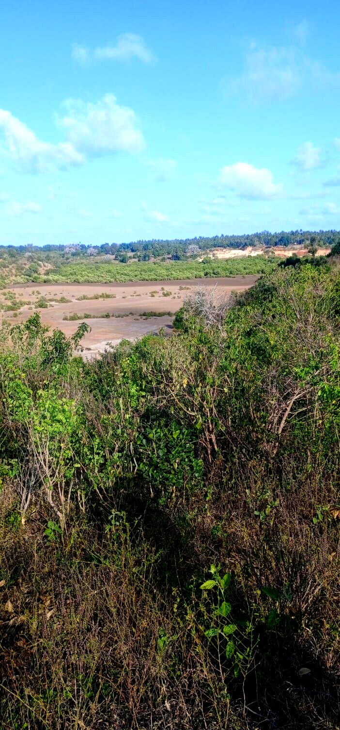 2.5-Acre Creek Plot with Ready Title – Kilifi Mavueni