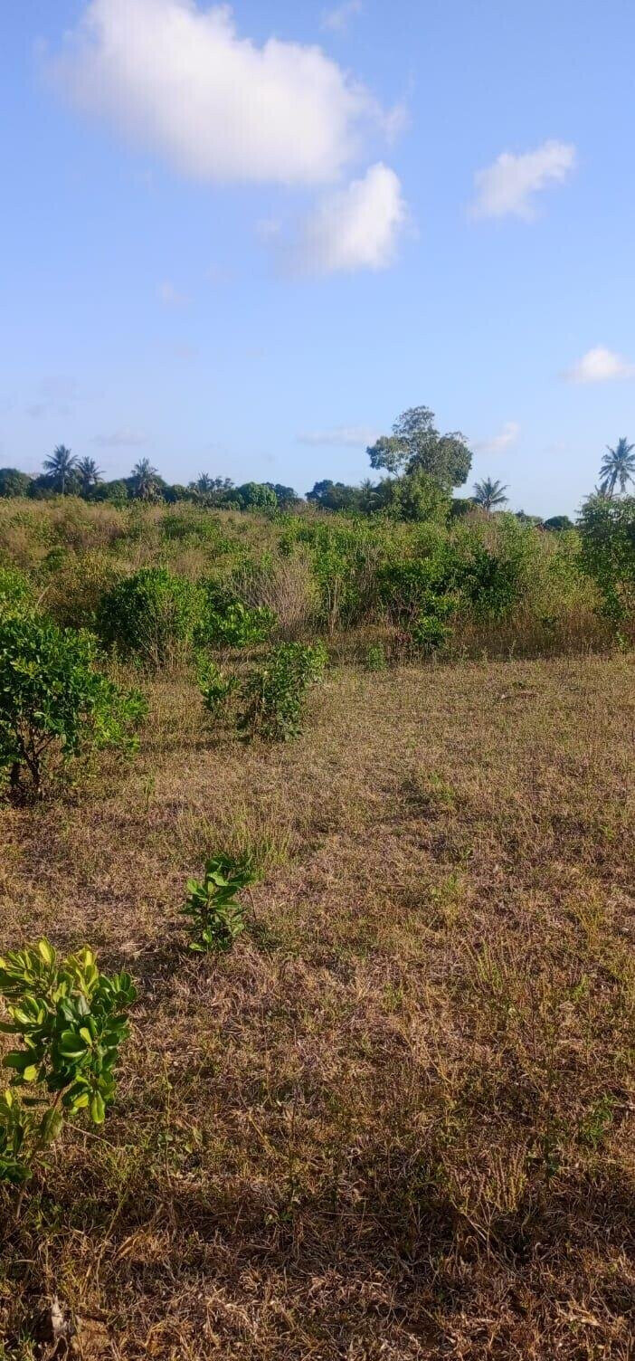 2.5-Acre Creek Plot with Ready Title – Kilifi Mavueni