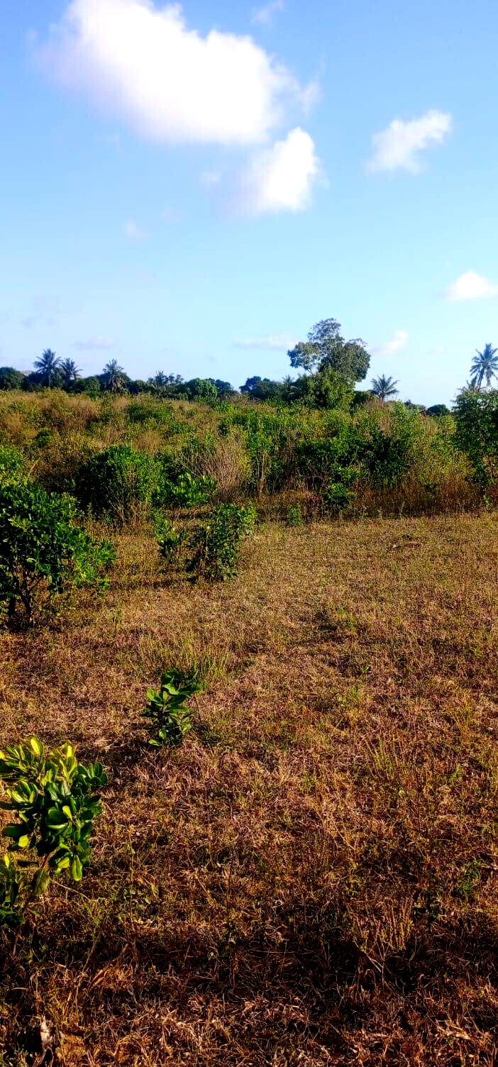 2.5-Acre Creek Plot with Ready Title – Kilifi Mavueni