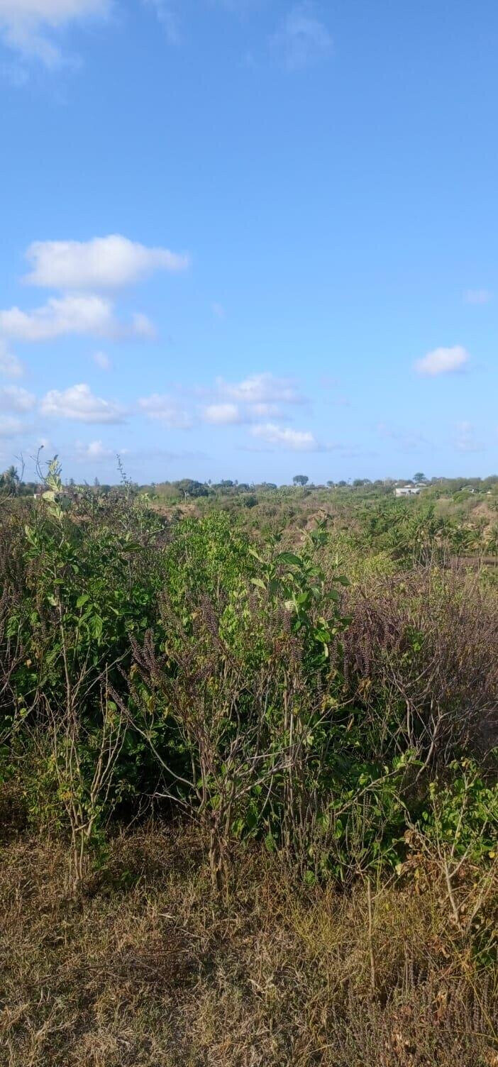 2.5-Acre Creek Plot with Ready Title – Kilifi Mavueni