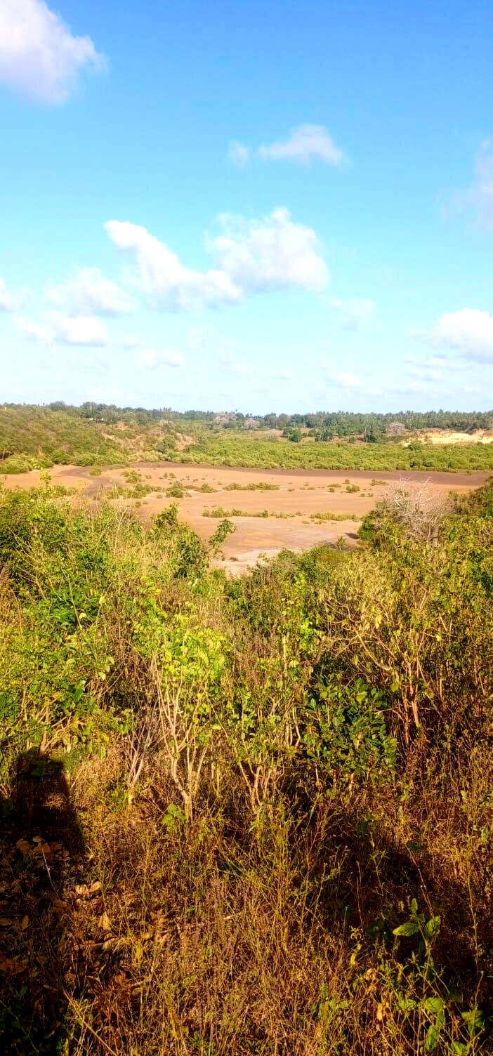 2.5-Acre Creek Plot with Ready Title – Kilifi Mavueni