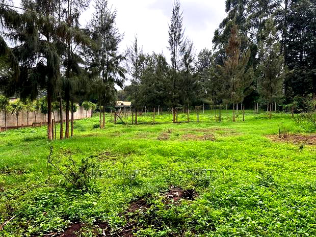 Prime Commercial Plot for Sale in Kikuyu Town.
