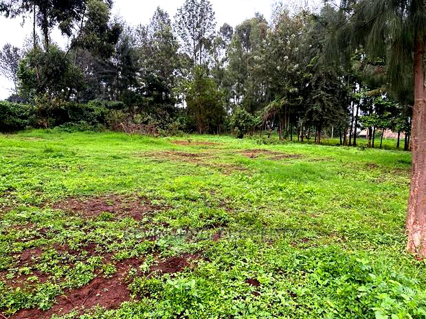 Prime Commercial Plot for Sale in Kikuyu Town.