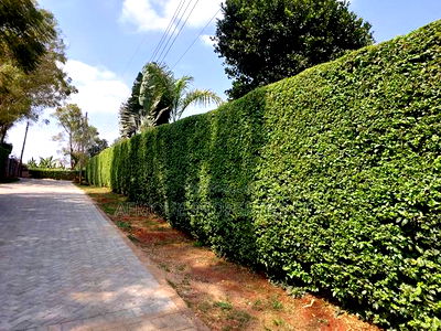 Kiambu Road 1/2 Acre Residential Plots for Sale - Image 2