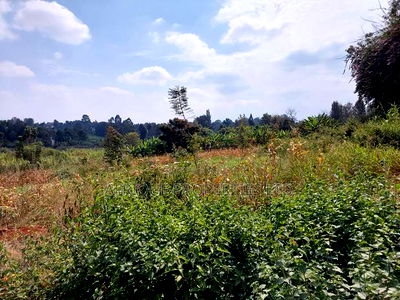 Kiambu Road 1/2 Acre Residential Plots for Sale - Image 5