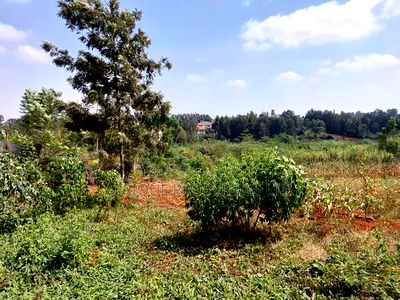 Kiambu Road 1/2 Acre Residential Plots for Sale - Image 3