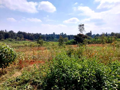Kiambu Road 1/2 Acre Residential Plots for Sale - Image 4