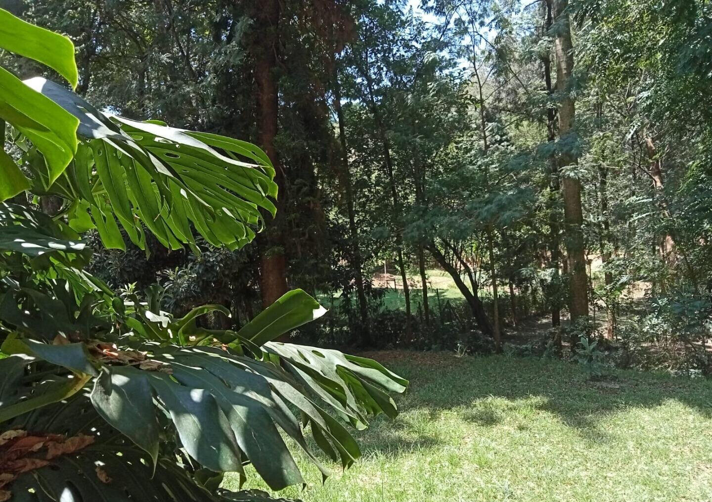1 Acre Plot with Garden in Westlands