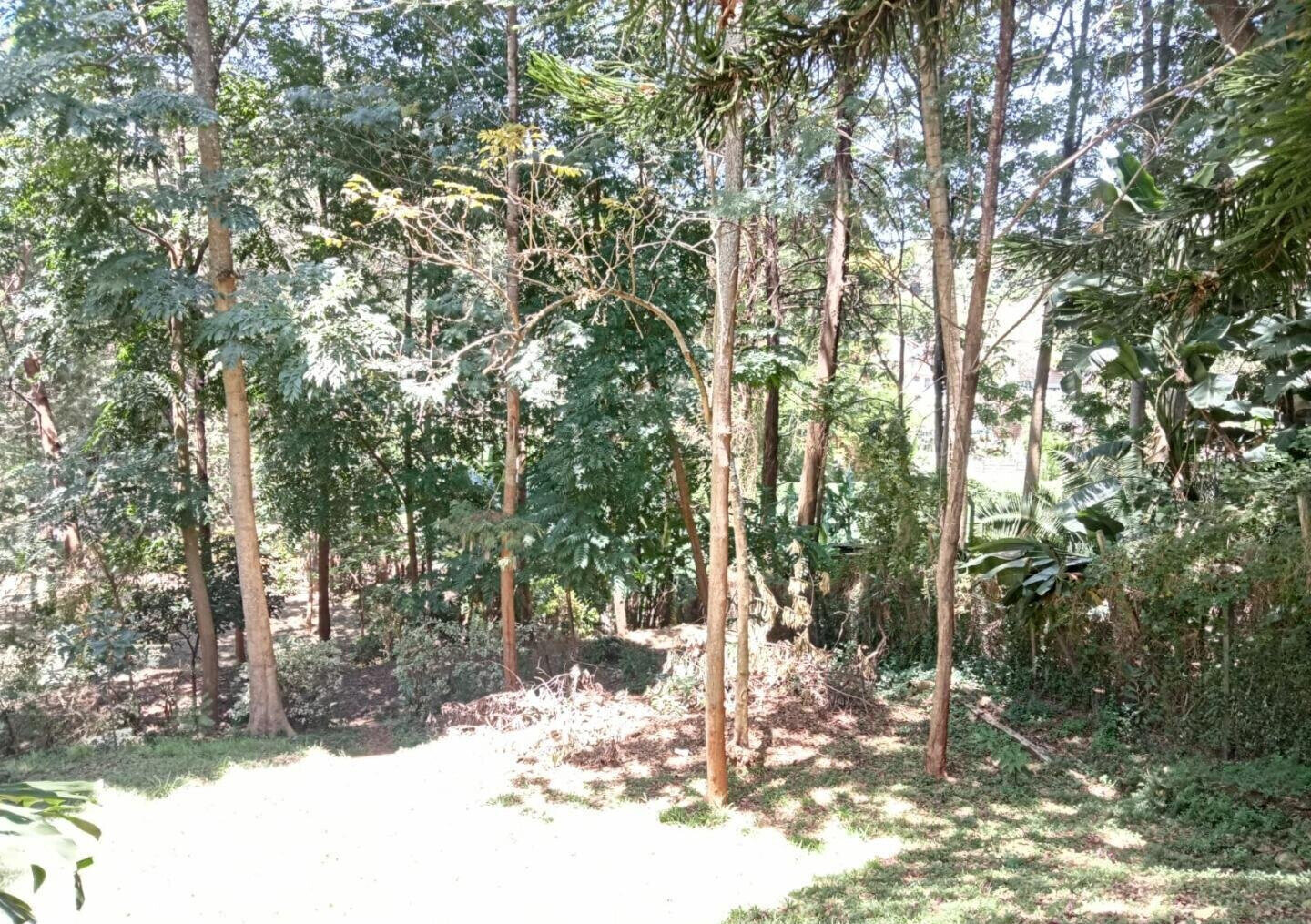 1 Acre Plot with Garden in Westlands