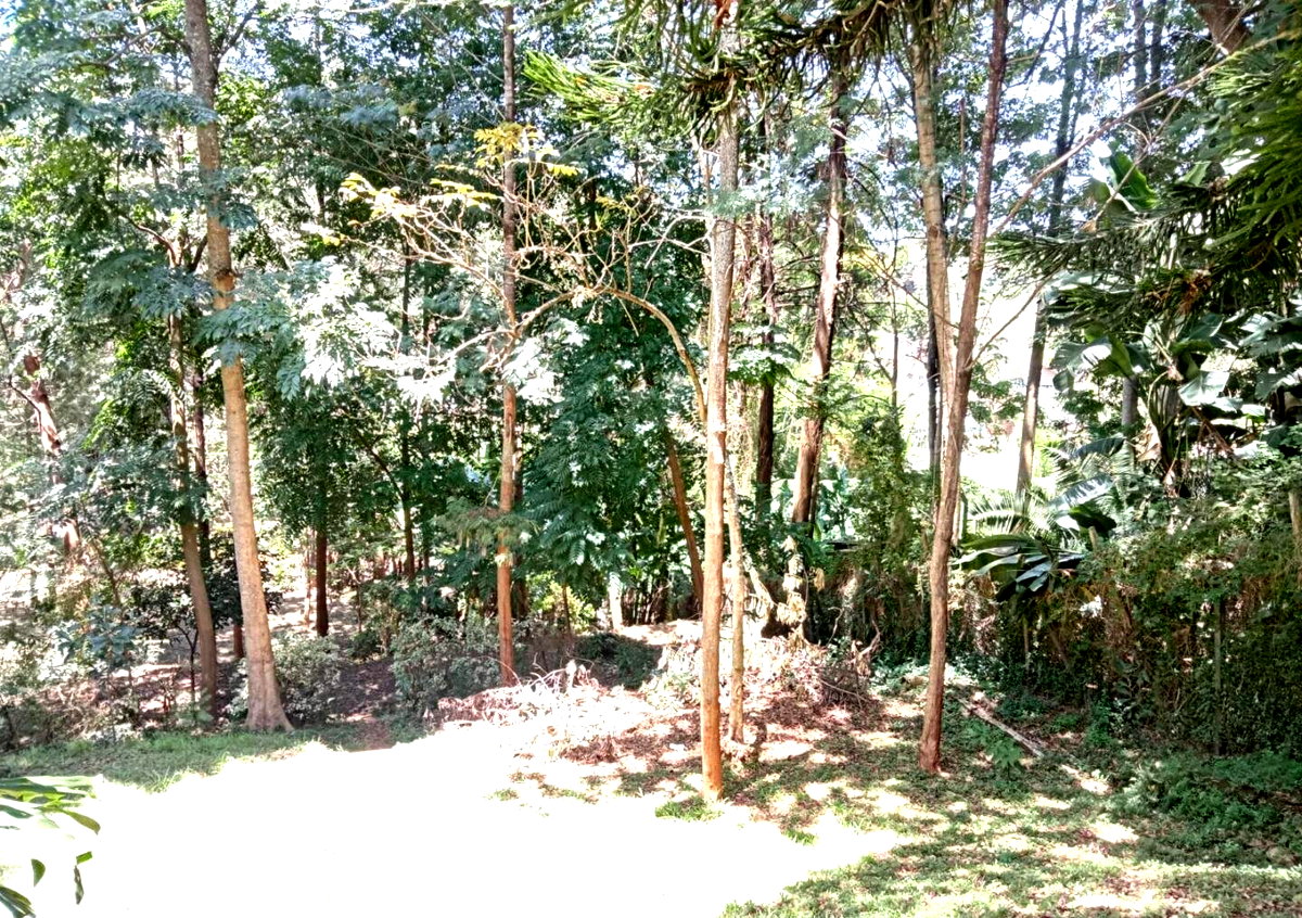 1 Acre Plot with Garden in Westlands