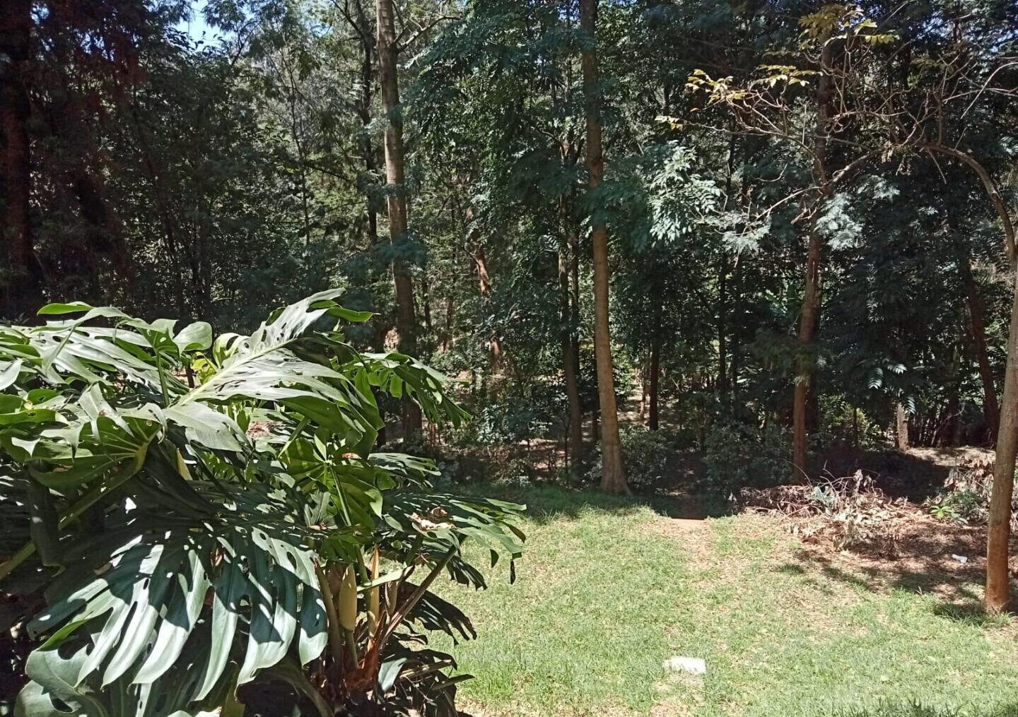 1 Acre Plot with Garden in Westlands