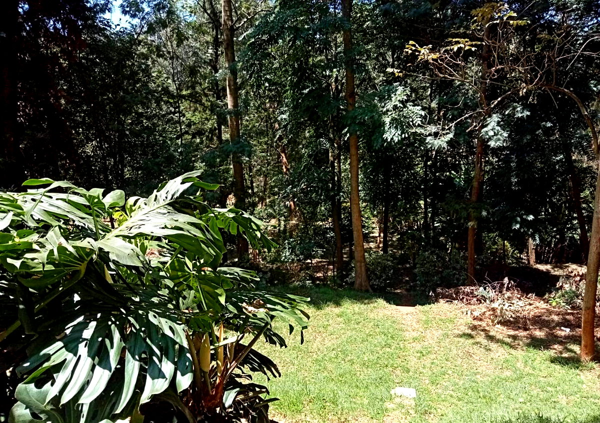 1 Acre Plot with Garden in Westlands