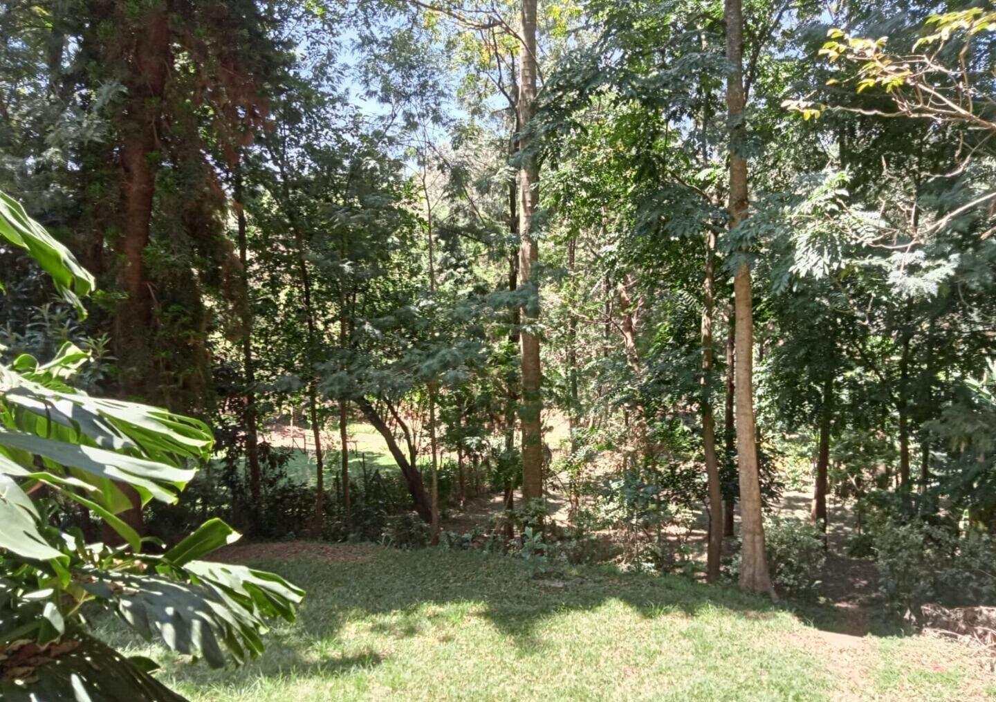 1 Acre Plot with Garden in Westlands