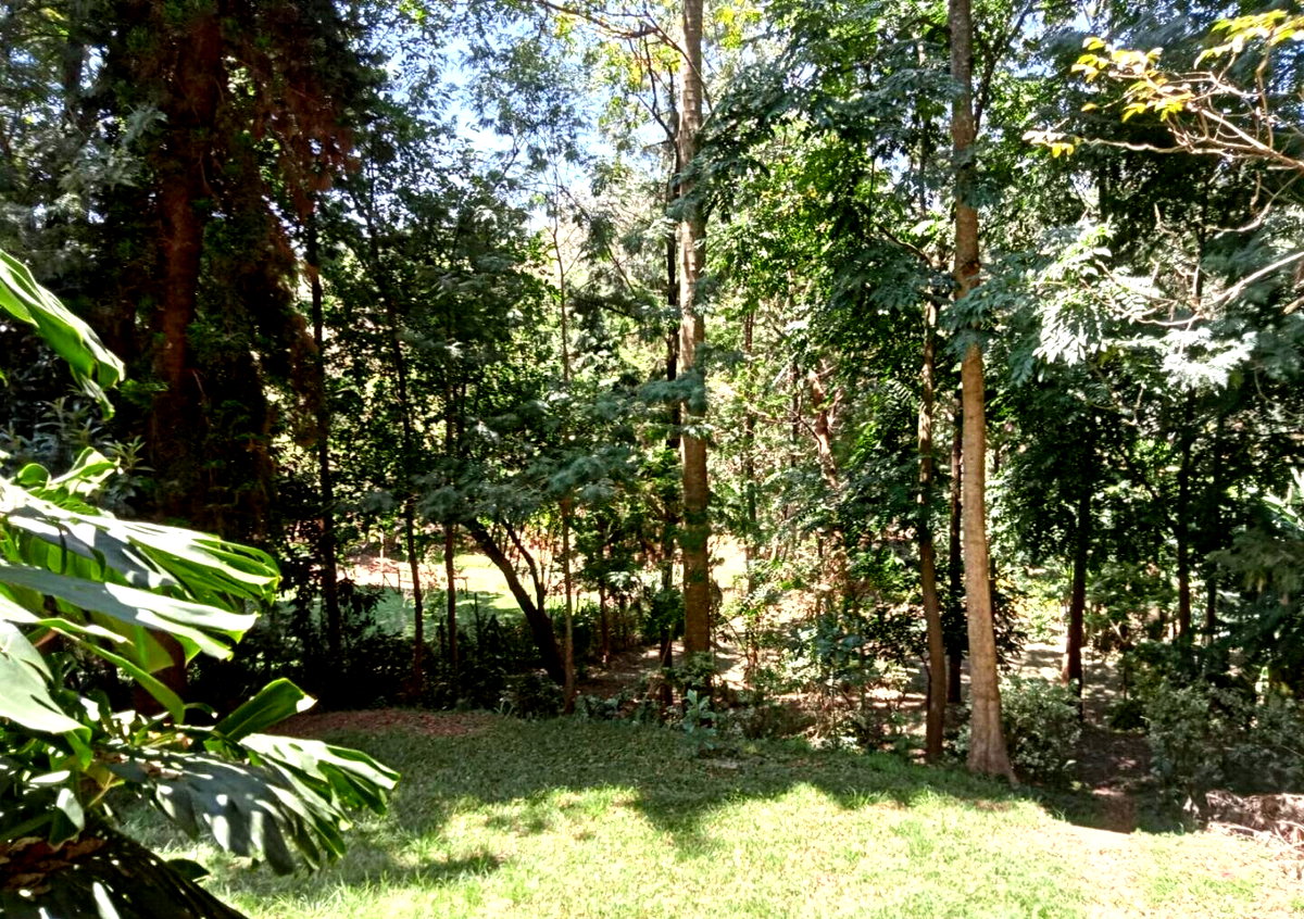 1 Acre Plot with Garden in Westlands
