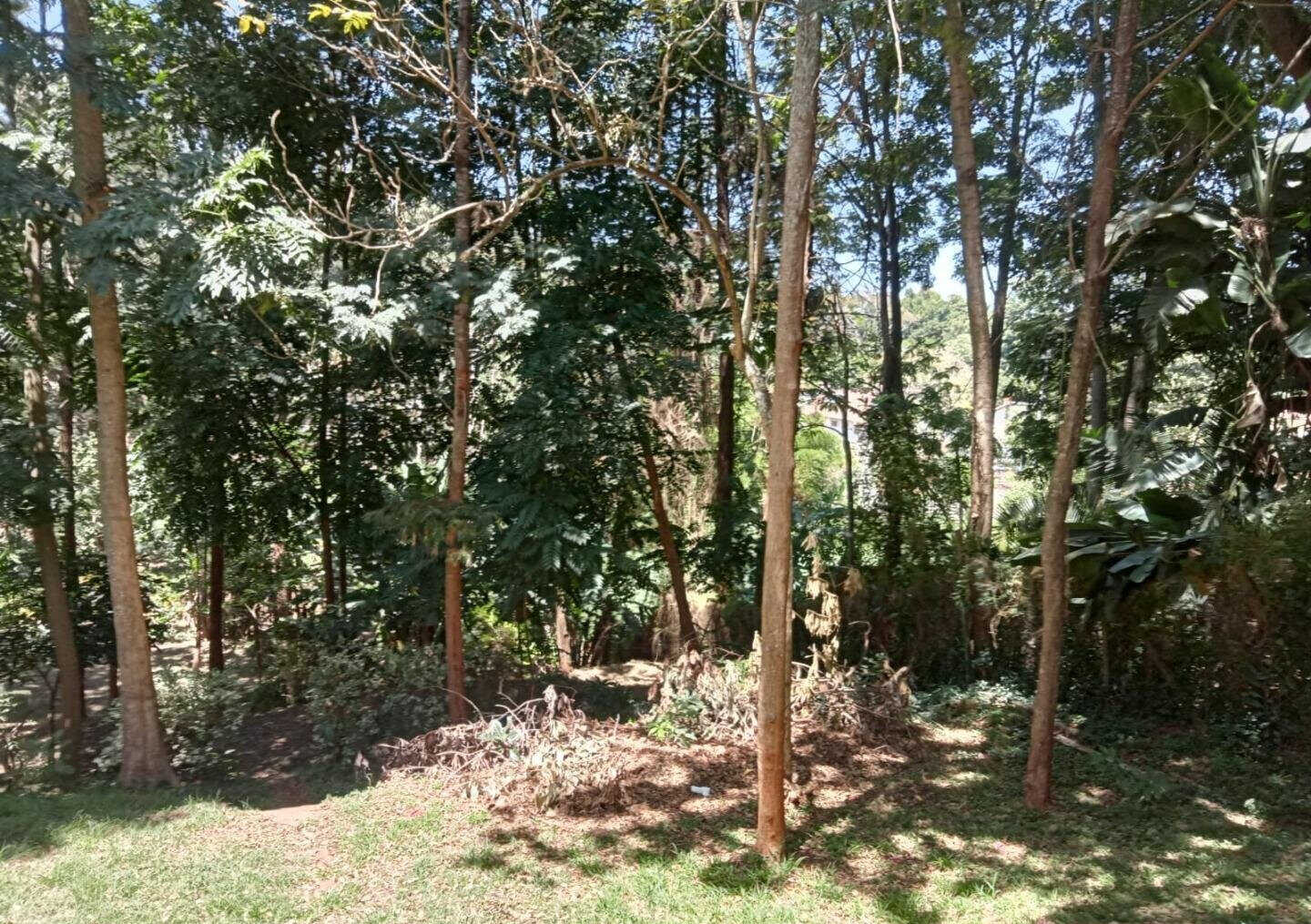 1 Acre Plot with Garden in Westlands