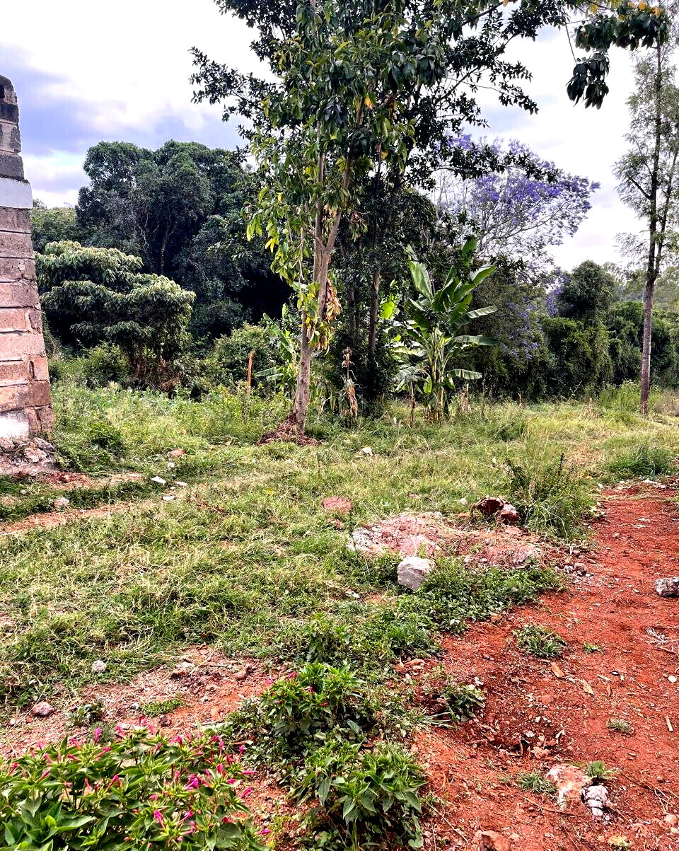 8.5-Acre Karen Land at KSh 55M