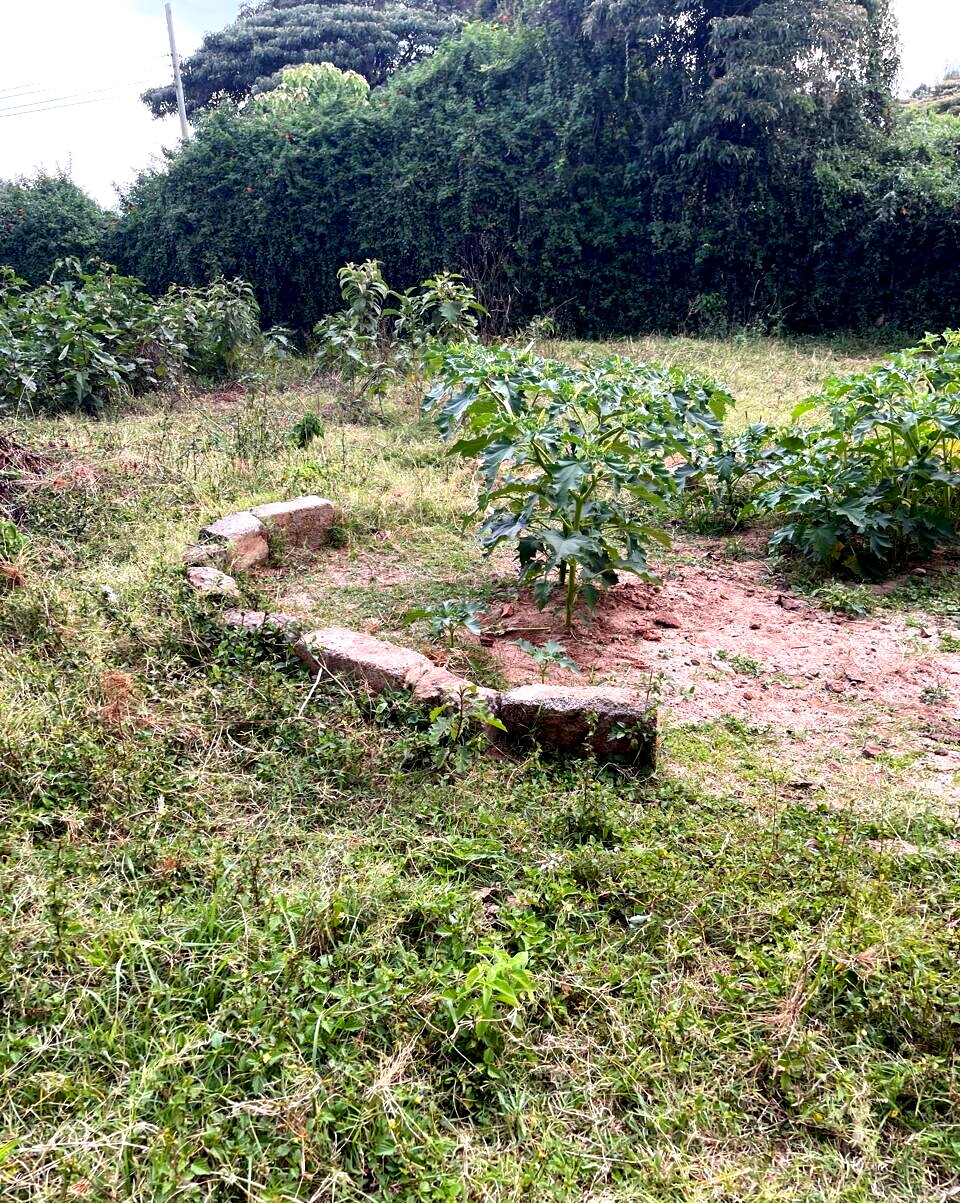 8.5-Acre Karen Land at KSh 55M