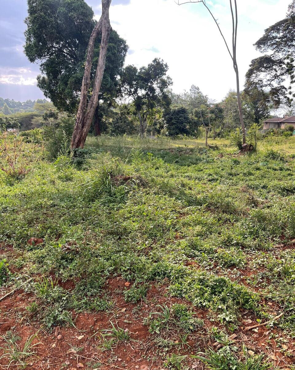 8.5-Acre Karen Land at KSh 55M