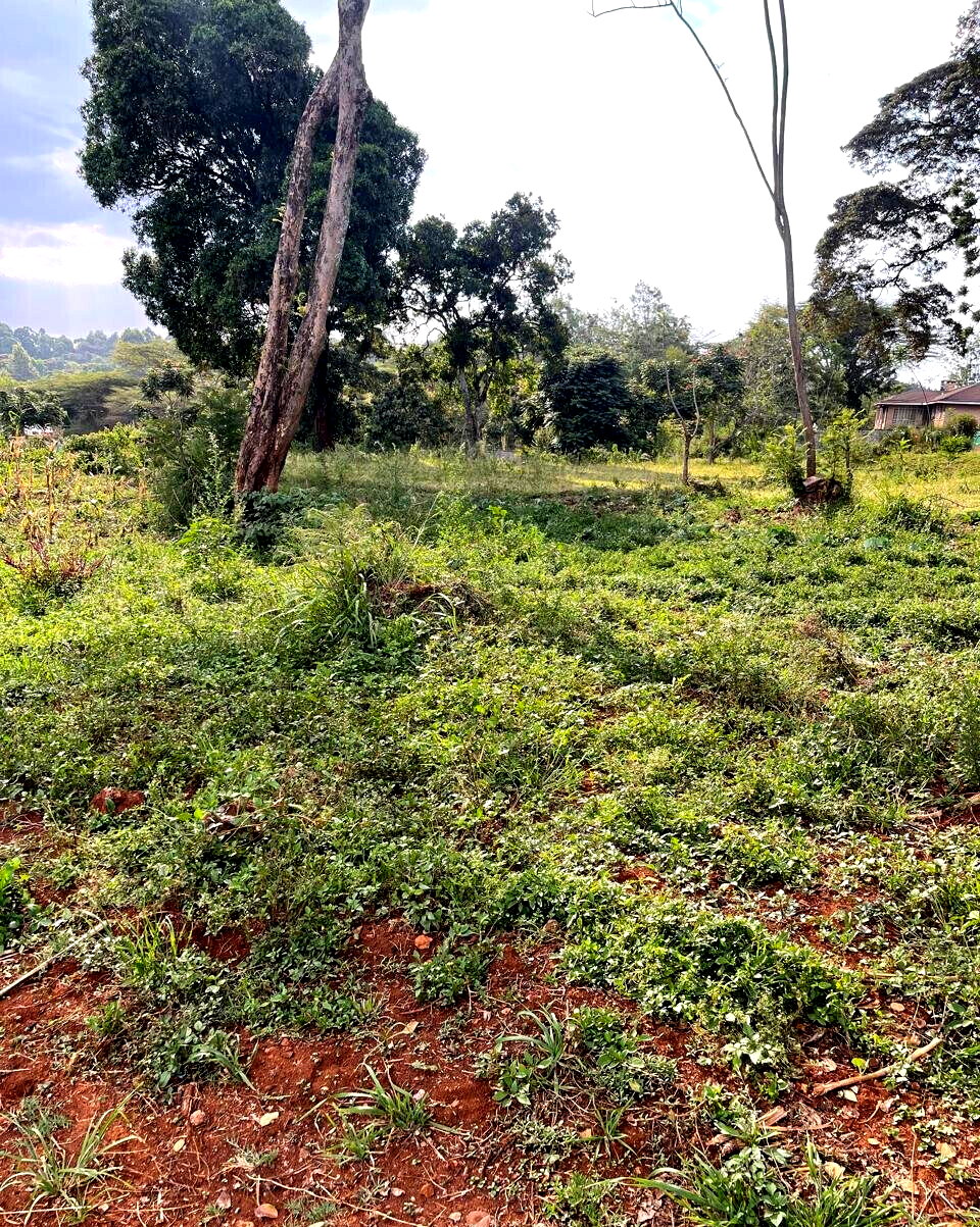 8.5-Acre Karen Land at KSh 55M