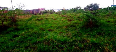 Quarter Acre Plot for Sale in Ruiru, Mugutha Area - Image 2