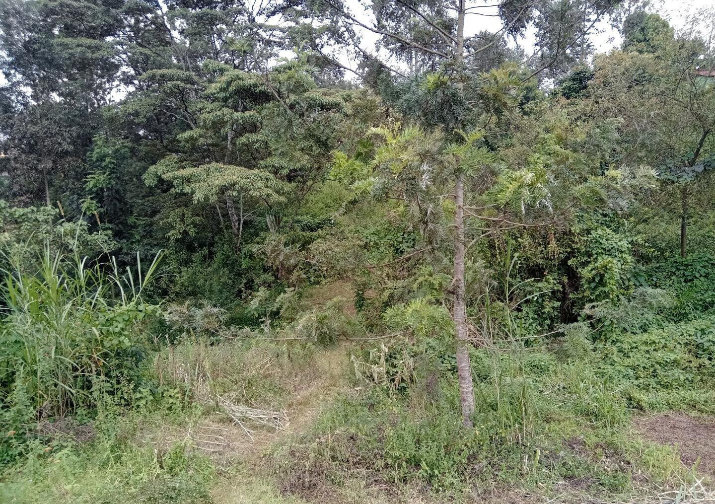 1/8 Acre Garden Plot with Parking at KSh 2.5M