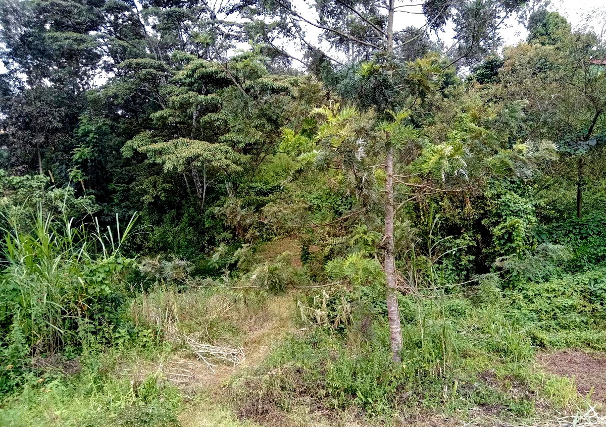 1/8 Acre Garden Plot with Parking at KSh 2.5M