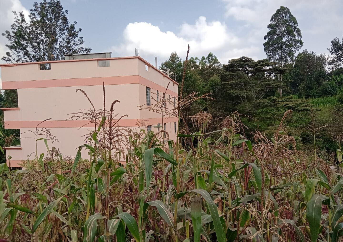 1/8 Acre Garden Plot with Parking at KSh 2.5M