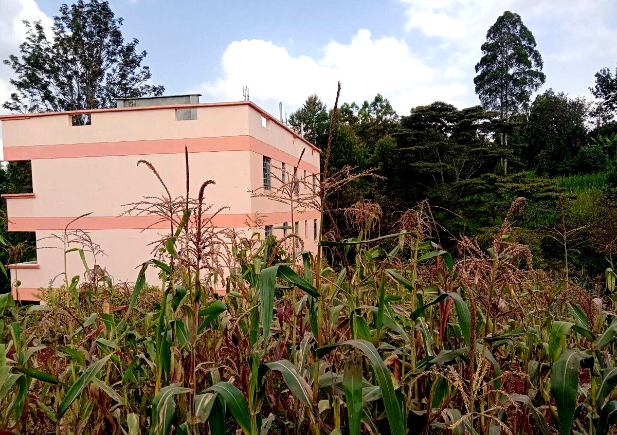 1/8 Acre Garden Plot with Parking at KSh 2.5M