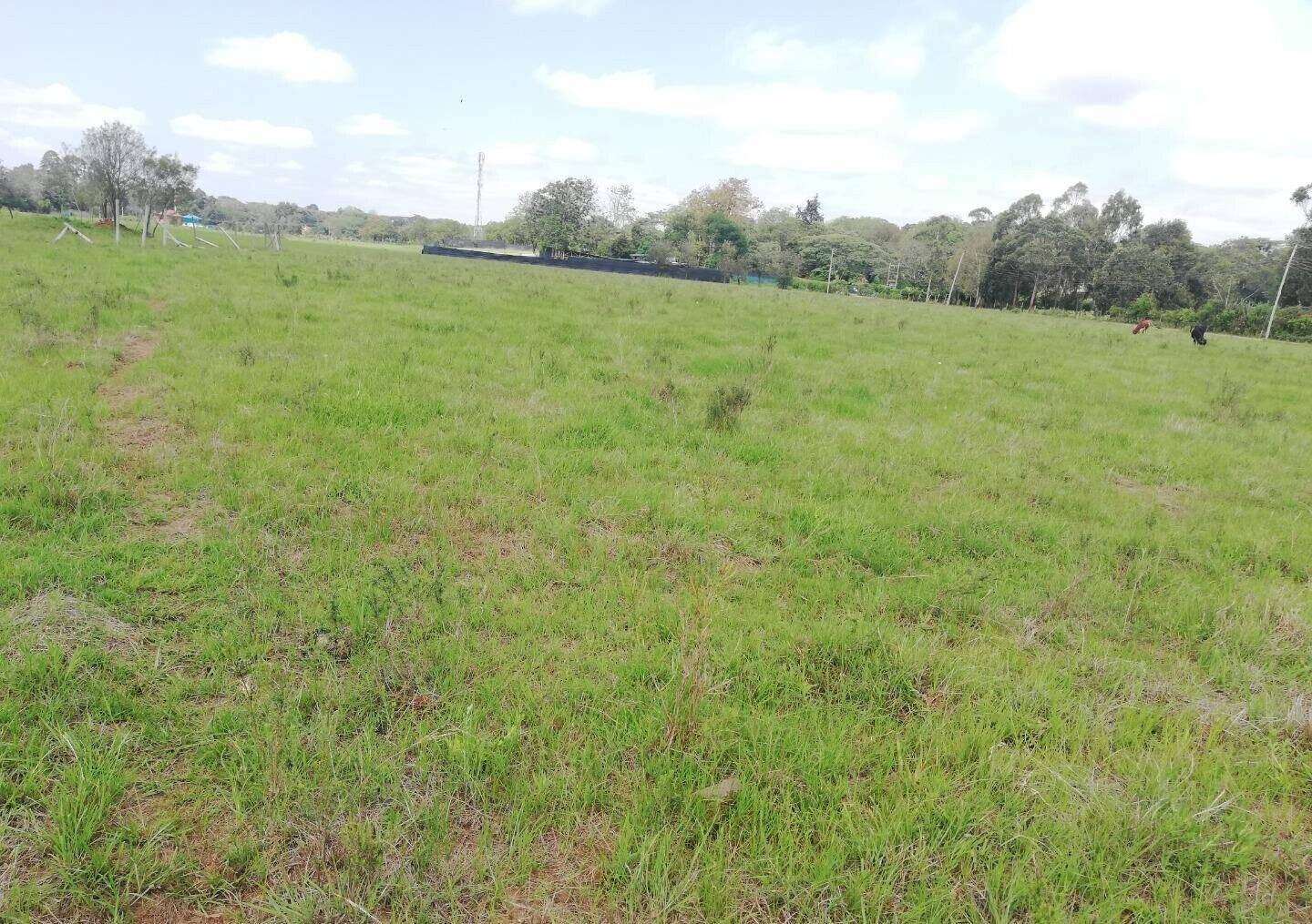 0.44 Acre Karen Plot at KSh 36.5M