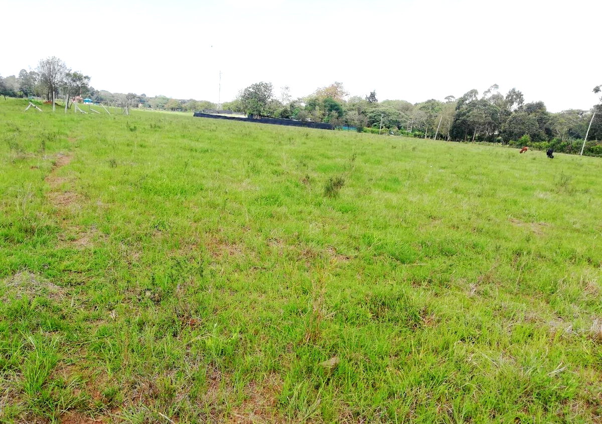 0.44 Acre Karen Plot at KSh 36.5M