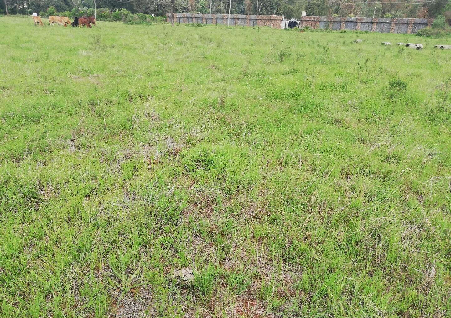 0.44 Acre Karen Plot at KSh 36.5M