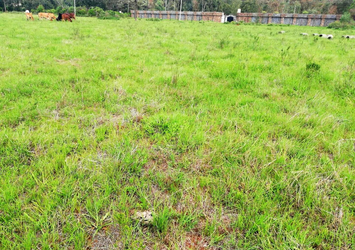 0.44 Acre Karen Plot at KSh 36.5M