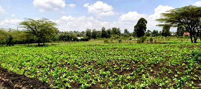 Plots for Sale in Ngong Matasia Merisho Road - Image 1
