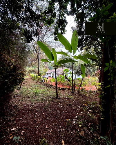Half Acre Garden Plot with Parking