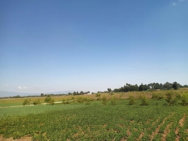 Ushindi Gardens In Nakuru By Optiven
