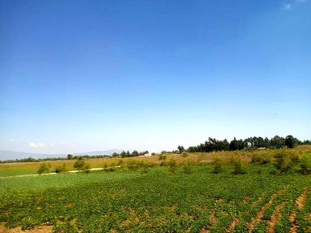 Ushindi Gardens In Nakuru By Optiven