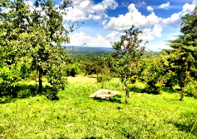 11-Acre Farm in Siaya's Gem