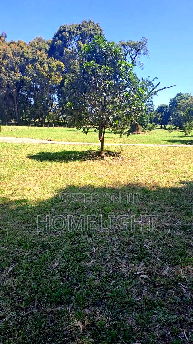 A Fully Serviced 1 Acre Land for Sale in Karen