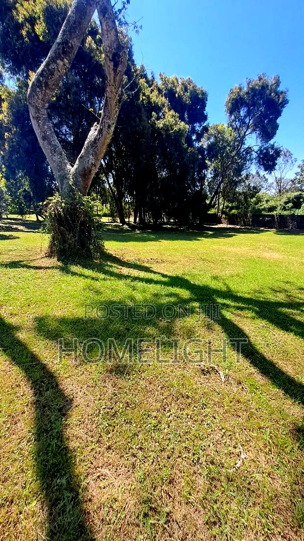 A Fully Serviced 1 Acre Land for Sale in Karen