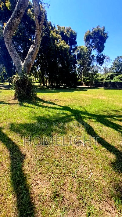 A Fully Serviced 1 Acre Land for Sale in Karen - Image 11