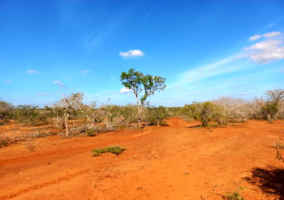 5-Acre Farm in Bombi, Malindi