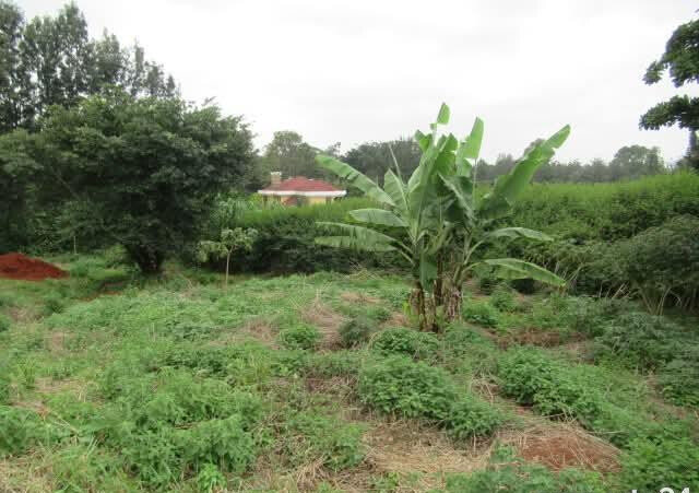 KSh 35M Garden Estate Plot