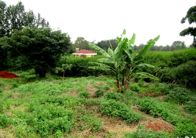 KSh 35M Garden Estate Plot